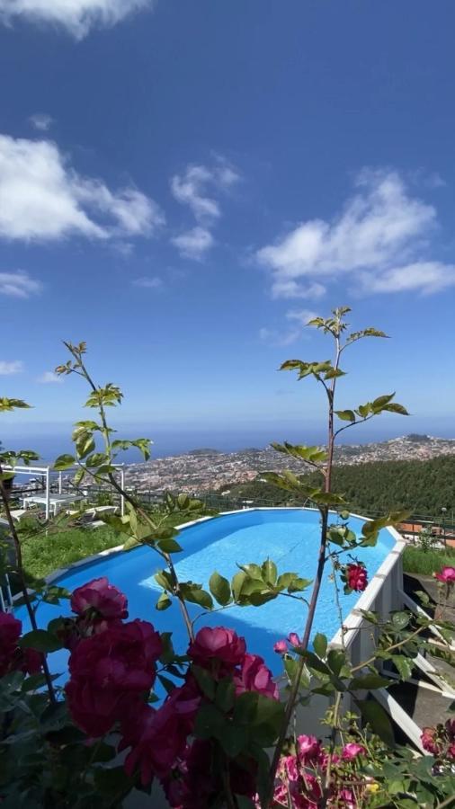 Studio Geek Villa: Matrix-Inspired Open Space with Year-Round Pool Funchal  Exterior photo
